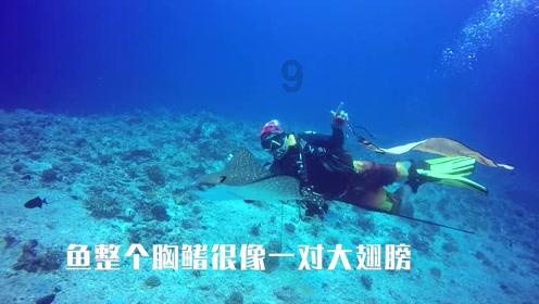 合金装备：幸存